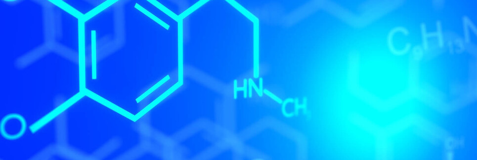 Chemical engineering - Chimica organica